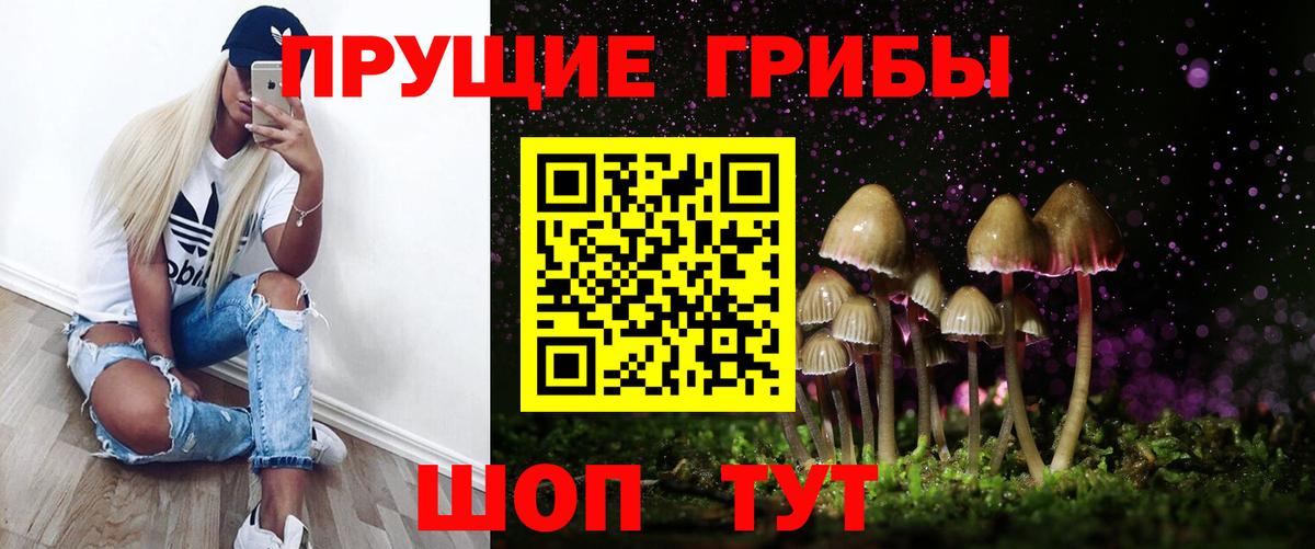 Галлюциногенные грибы MAGIC MUSHROOMS Заводоуковск