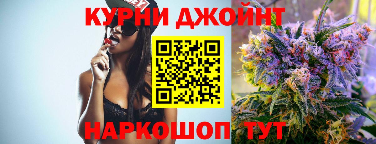 Бошки Шишки планчик Заводоуковск